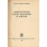 Samochodowe silniki spalinowe w zarysie