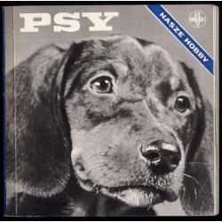 Psy