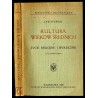 Kultura wieków średnich. T.1: Życie religijne i społeczne