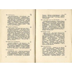 Rund um die Erde. Irrfahrten und Abenteuer eines Grünhorns