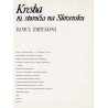 Kresba 19. storočia na Slovensku