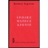 Spójrz wstecz, Ajonie. Powieść