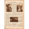 Tęcza. Ilustrowane pismo tygodniowe. R.3 (1929). Z. 37 (14 września 1929) / Mieczysław Szczepkowski / Solura / Poznań tenis
