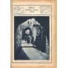 Tęcza. Ilustrowane pismo tygodniowe. R.3 (1929). Z. 37 (14 września 1929) / Mieczysław Szczepkowski / Solura / Poznań tenis