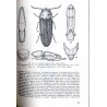 Klucze do oznaczania owadów Polski. Cz.19: Chrząszcze - Coleoptera. Z.35-37: Cerophytidae, Eucnemidae, Throscidae, Lissomidae