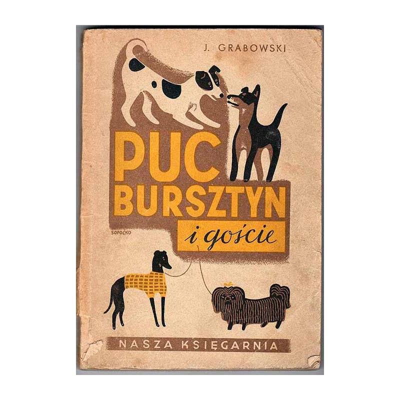 Puc, Bursztyn i goście