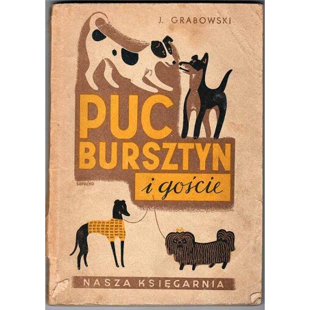 Puc, Bursztyn i goście