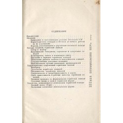 Torijskaja lošad'
