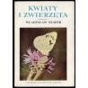 Kwiaty i zwierzęta. Zarys ekologii kwiatów
