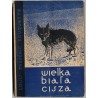 Wielka biała cisza. Powieść