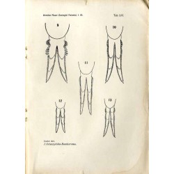 Annales Musei Zoologici Polonici. T. 9. Rok 1930-1933