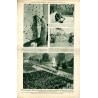 Ilustrowany Kurier Codzienny. Bezpłatny dodatek tygodniowy "Ilustrowanego Kuriera Codziennego" do nr 301. R.2 (1926). Nr 44 (93)