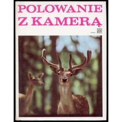 Polowanie z kamerą