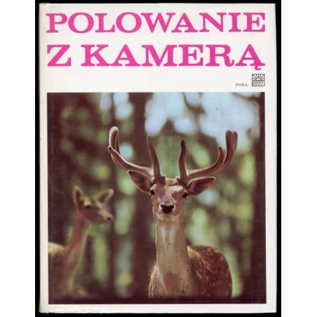 Polowanie z kamerą