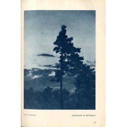 Tęcza. Ilustrowane pismo miesięczne. R.7 (1933). Nr 12 / Maria Zabłocka / Knut Hamsun / August II Mocny / Anna Słonczyńska / Jan