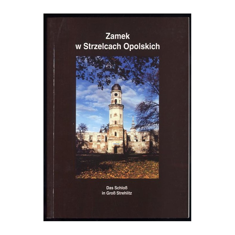 Zamek w Strzelcach Opolskich