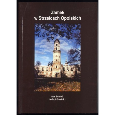 Zamek w Strzelcach Opolskich
