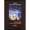 Zamek w Strzelcach Opolskich