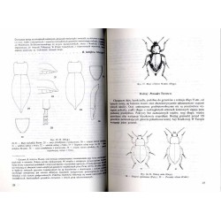 Klucze do oznaczania owadów Polski. Cz.19: Chrząszcze - Coleoptera. Z.91: Czarnuchowate - Tenebrionidae, Boridae