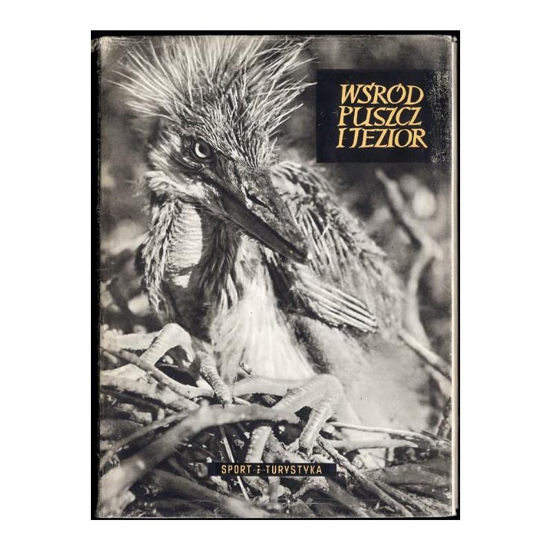 Wśród puszcz i jezior