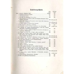 Topf- und Marktpflanzen. Ein Handbuch für die Praxis der Topfpflanzen-Kultur