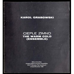 Karol Grabowski. Ciepłe Zimno. The Warm Cold (Ensemble). Mała Galeria, Warszawa, listopad 1984