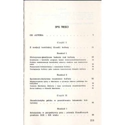 Metafizyka kultury. Grabmann~Maritain~neoscholastyka polska