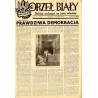 Orzeł Biały. Polska walcząca na ziemi włoskiej. R.5 (1945). Nr 1-52 (136-187)