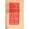 W Dolinie Małej Wody