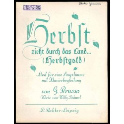 Herbst zieht durch das Land (Herbstgold - Nebbie D'oro)