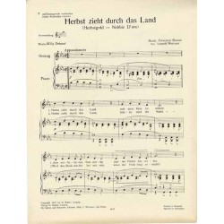 Herbst zieht durch das Land (Herbstgold - Nebbie D'oro)