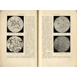 Świat chorobotwórczych bakterii