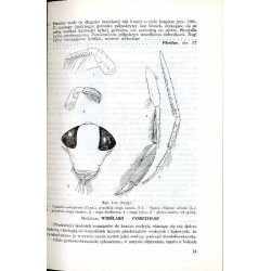 Klucze do oznaczania owadów Polski. Cz.18: Pluskwiaki różnoskrzydłe - Heteroptera. Z.2: Corixidae, Notonectidae, Pleidae, Nepida