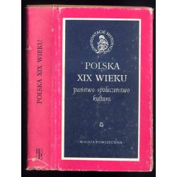 Polska XIX wieku. Państwo, społeczeństwo, kultura
