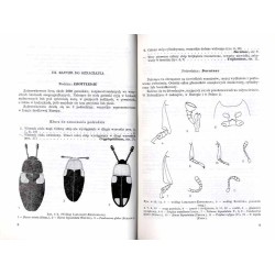 Klucze do oznaczania owadów Polski. Cz.19: Chrząszcze - Coleoptera. Z.74-75: Zadrzewkowate - Erotylidae, Wygłodkowate -- Endomyc