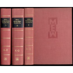 Mała Encyklopedia Wojskowa. 3t