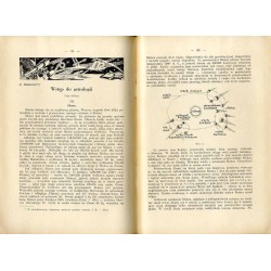 "Hejnał". Miesięcznik wiedzy duchowej. R. 10 (1938). Z. 2 (Luty 1938)