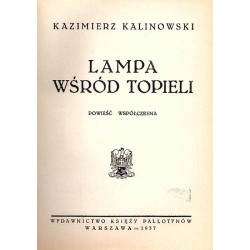 Lampa wśród topieli. Powieść współczesna
