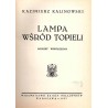 Lampa wśród topieli. Powieść współczesna