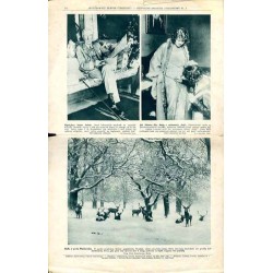 Ilustrowany Kurier Codzienny. Bezpłatny dodatek tygodniowy "Ilustrowanego Kuriera Codziennego" do nr 32 R.2 (1926). Nr 5 (54) (1