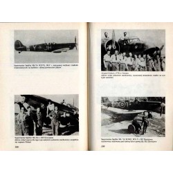 Godło i barwa w lotnictwie polskim 1939-1945