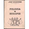 Polonia w Europie