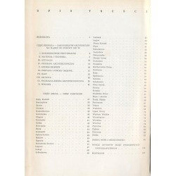 Architektura na Śląsku do połowy XIII wieku