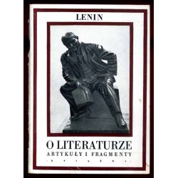 O literaturze. Artykuły i fragmenty