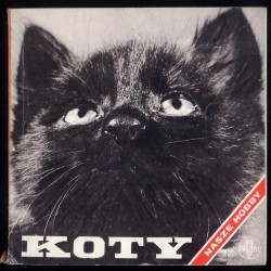 Koty