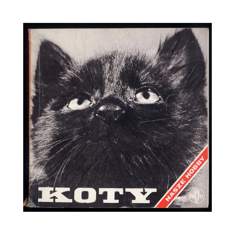 Koty