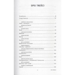 Kultura Wielkiego Księstwa Litewskiego. Analizy i obrazy
