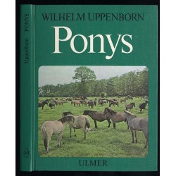 Ponys. Umgang und Haltung