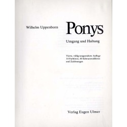 Ponys. Umgang und Haltung