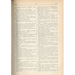 V'etnamsko-russkij slovar'
